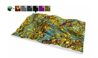 Image Analysis Software