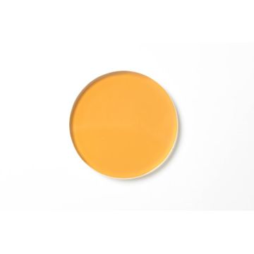 SCHOTT Insert Filter - Halogen - 258 307