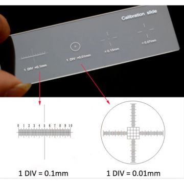 Dino-Lite alibration Slide For Microscope, Five Graduated Scales 1.5MM 0.6MM, 0.01MM, 0.15MM, 0.07MM